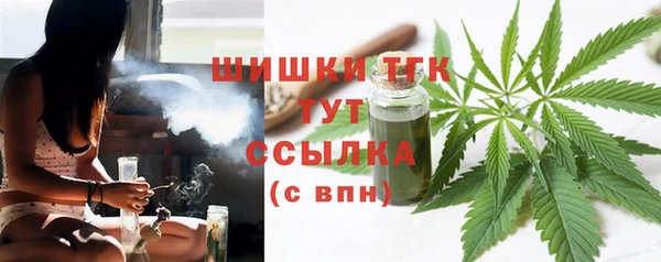 дмт Абаза