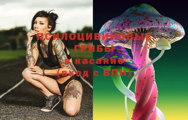 дмт Абаза