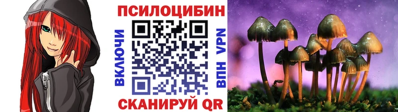 Псилоцибиновые грибы Psilocybine cubensis  Усмань 